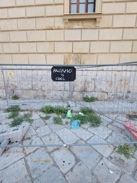 IMG-BLOG
